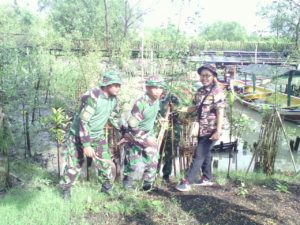 Gerakan Penghijauan, Kodim 0830 SU Tanam Mangrove di Wonorejo Rungkut Surabaya 2