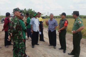 Kegiatan Tim sergap Dirjen PSP Kementan Di Wilayah  Mantingan Ngawi 5