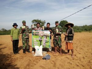 3. Babinsa Koramil Geger Bangkalan, Dampingi Petani Tanam Kedelai  1