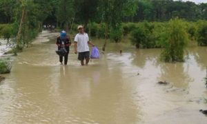 HUJAN SEMALAM DUSUN CIROKOL BANJIR 1