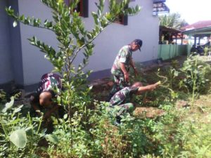 PANEN KACANG TANAH DI PEKARANGAN KORAMIL 13MAJENANG 2