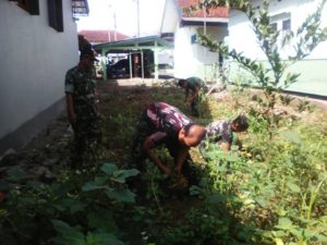 PANEN KACANG TANAH DI PEKARANGAN KORAMIL 13MAJENANG 3