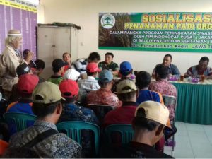 08-september-sosialisasi-penanaman-padi-organik-2