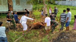 18-kesederhanaan-tni-dan-warga-perbatasan-ri-png-rayakan-iedul-adha-1437-h-e