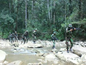 B.16 Satgas Pamtas Yonmek 516 CY  Kembali Temukan Ladang Ganja di Perbatasan RI-PNG d