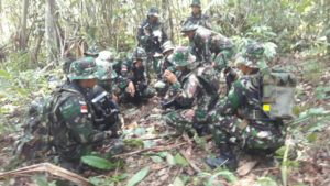 B.16 Satgas Pamtas Yonmek 516 CY  Kembali Temukan Ladang Ganja di Perbatasan RI-PNG z