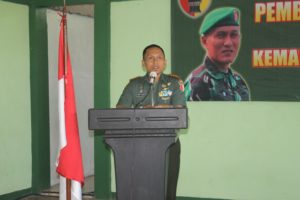 IMG_0016-1
