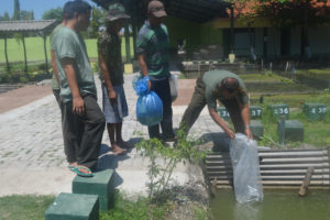 Pelepasan secara simbolis