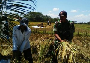 TMMD MENINGKATKAN KUALITAS HIDUP MASYARAKAT 1