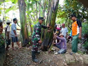 TNI DAN MASYARAKAT BAHU MEMBAHU MELAKSANAKAN MENGAWALI PRA TMMD KE 97 1