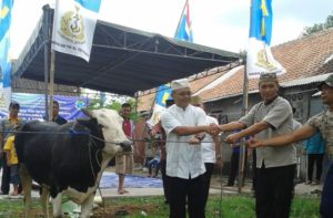 usai-sholat-idul-adha-lanal-yogyakarta-bakamla-ri-sembelih-dan-bagikan-daging-hewan-qurban-1a