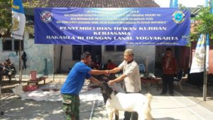 usai-sholat-idul-adha-lanal-yogyakarta-bakamla-ri-sembelih-dan-bagikan-daging-hewan-qurban-5