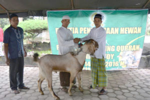 yonif-511dy-memotong-hewan-kurban-untuk-kaum-duafa-7