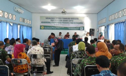 4-dandim-0829-bangkalan-hadiri-gelar-teknologi-budidaya-padi-gogo-b