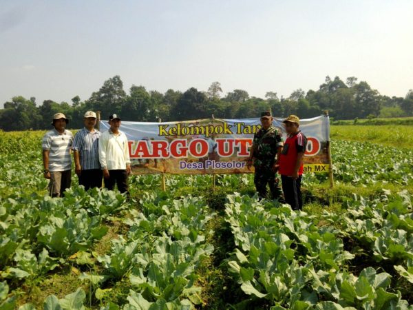 02-11-2016-launching-benih-polosoklaten-1a