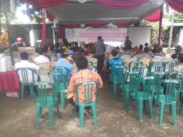 17-11-2016-pertanian-papar-8