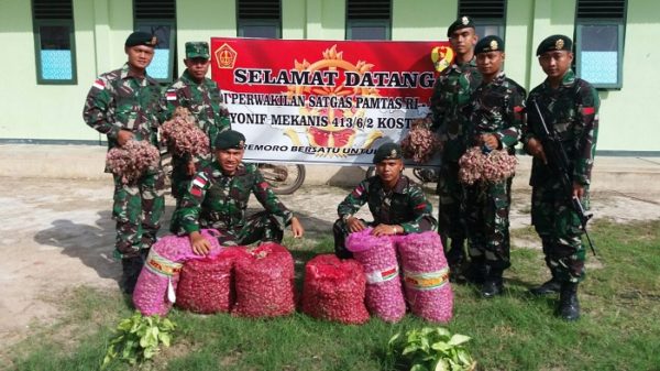 33-satgas-pamtas-ri-png-yonif-mekanis-413-kostrad-panen-sayuran-4