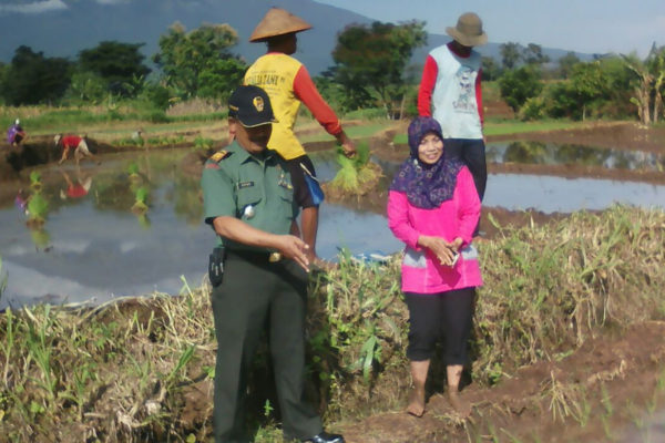anggota-koramil-0804-03-wates-tanam-padi-4