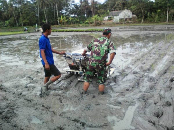 babinsa-dampingi-petani-tanam-padi-gunakan-transplanter-2