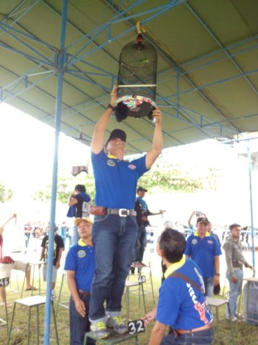 051216-mlg-lomba-burung-berkicau-2