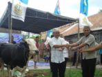 usai-sholat-idul-adha-lanal-yogyakarta-bakamla-ri-sembelih-dan-bagikan-daging-hewan-qurban-1a