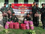33-satgas-pamtas-ri-png-yonif-mekanis-413-kostrad-panen-sayuran-4