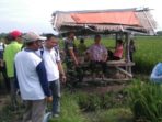 15 01 2017 demlot kec pare (6)