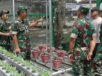 57. Kegiatan Hidroponik Satjar Brigif Para Raider 18 Kostrad (22)