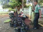 RIBUAN TANAMAN CABE DALAM POLYBAG KODIM 0703 3