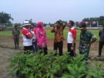 15. Brigif Raider 9 Kostrad Gelar Pembibitan Tanaman (5)
