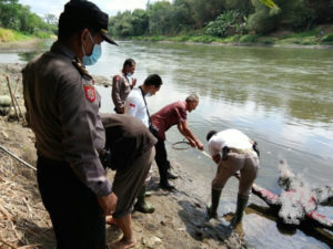 Anggota Polsek Kras Bersama Tim Identifikasi Datangi TKP Mayat Mengapung di Sungai Brantas