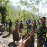 WhatsApp Image 2018-07-27 at 08.10.23(1)