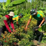 Compress_20251030_123638_8299