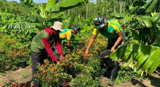 Compress_20251030_123638_8299