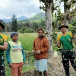 Compress_20251031_133936_6421