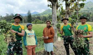 Compress_20251031_133936_6421