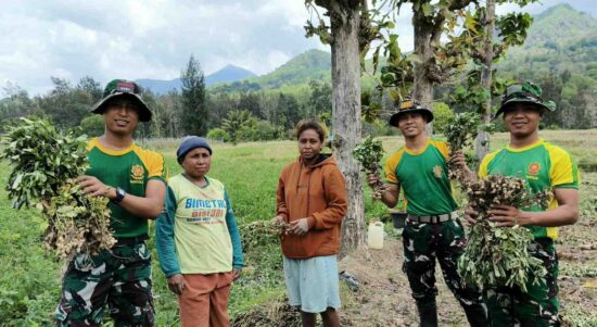 Compress_20251031_133936_6421