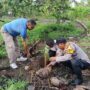 IMG-20251025-WA0157