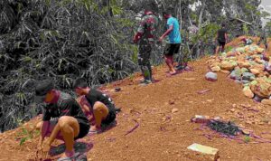 Compress_20251101_131359_9254