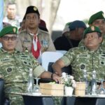 Compress_20251109_164627_7833