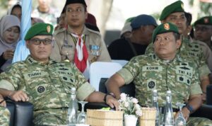 Compress_20251109_164627_7833