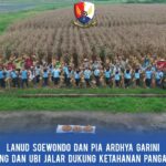 FB_IMG_1763275877681~2