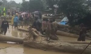 IMG-20251126-WA0011~2