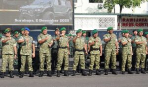 Compress_20251202_225606_6576