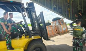 Compress_20251204_113537_7122