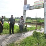 Compress_20251209_213851_1660