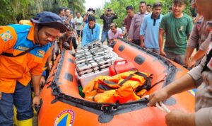 Compress_20251211_221927_7698