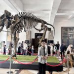 Compress_20251230_221013_3775