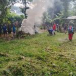 Compress_20260215_075338_8719