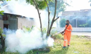 Compress_20260411_142614_4599